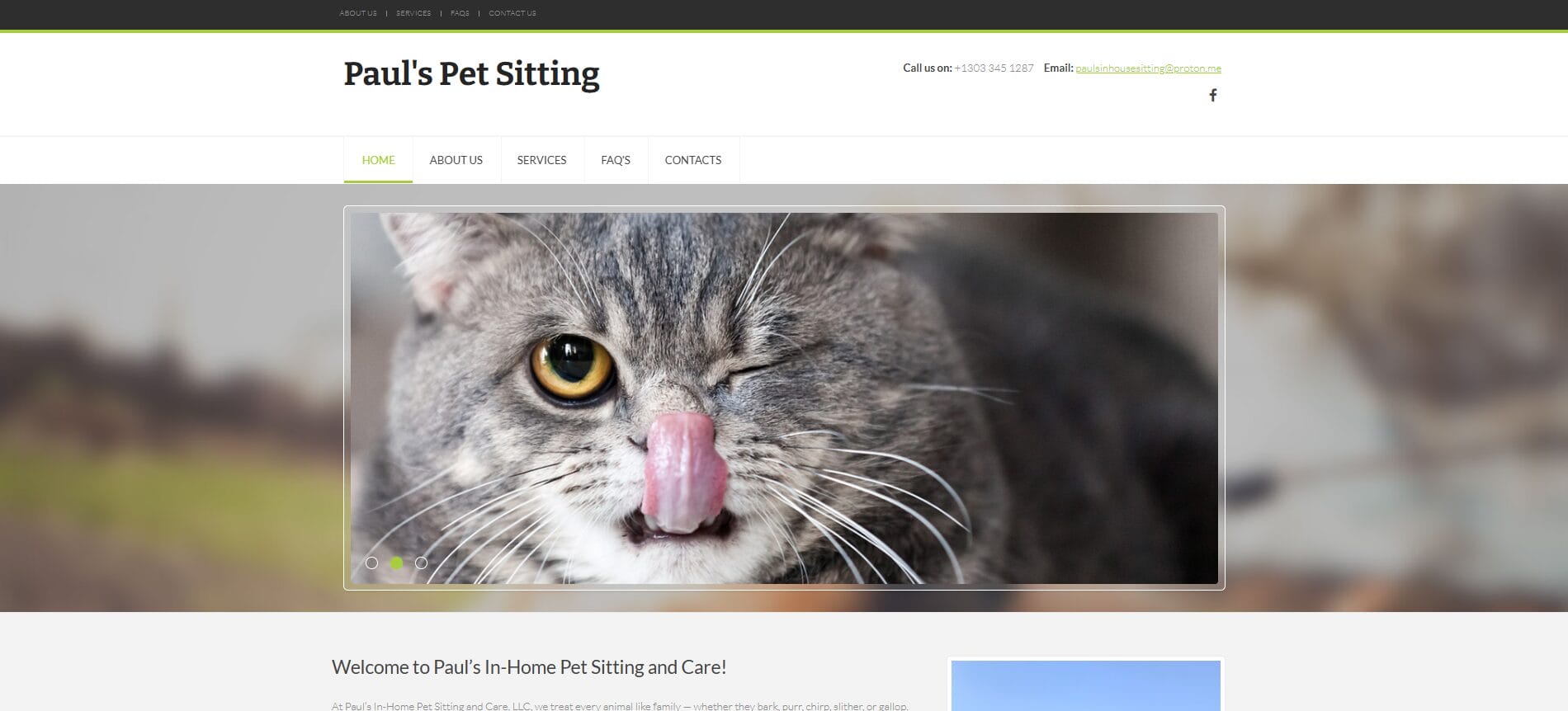 Case Study: Paul’s In-House Pet Sitting